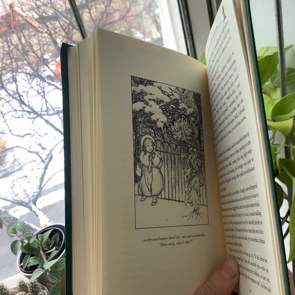 🎉HP🎉Peter Pan Book Novel (English) - Picture 10 of 10